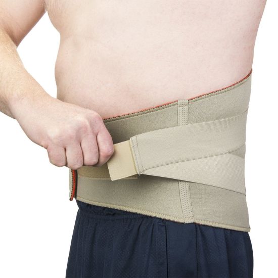 Picture of Back Support Belt