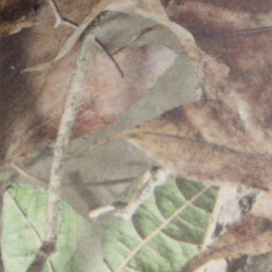 Picture of Buzz XL HD 3 Wheel