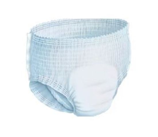 Picture of Nateen Adult Disposable Underwear